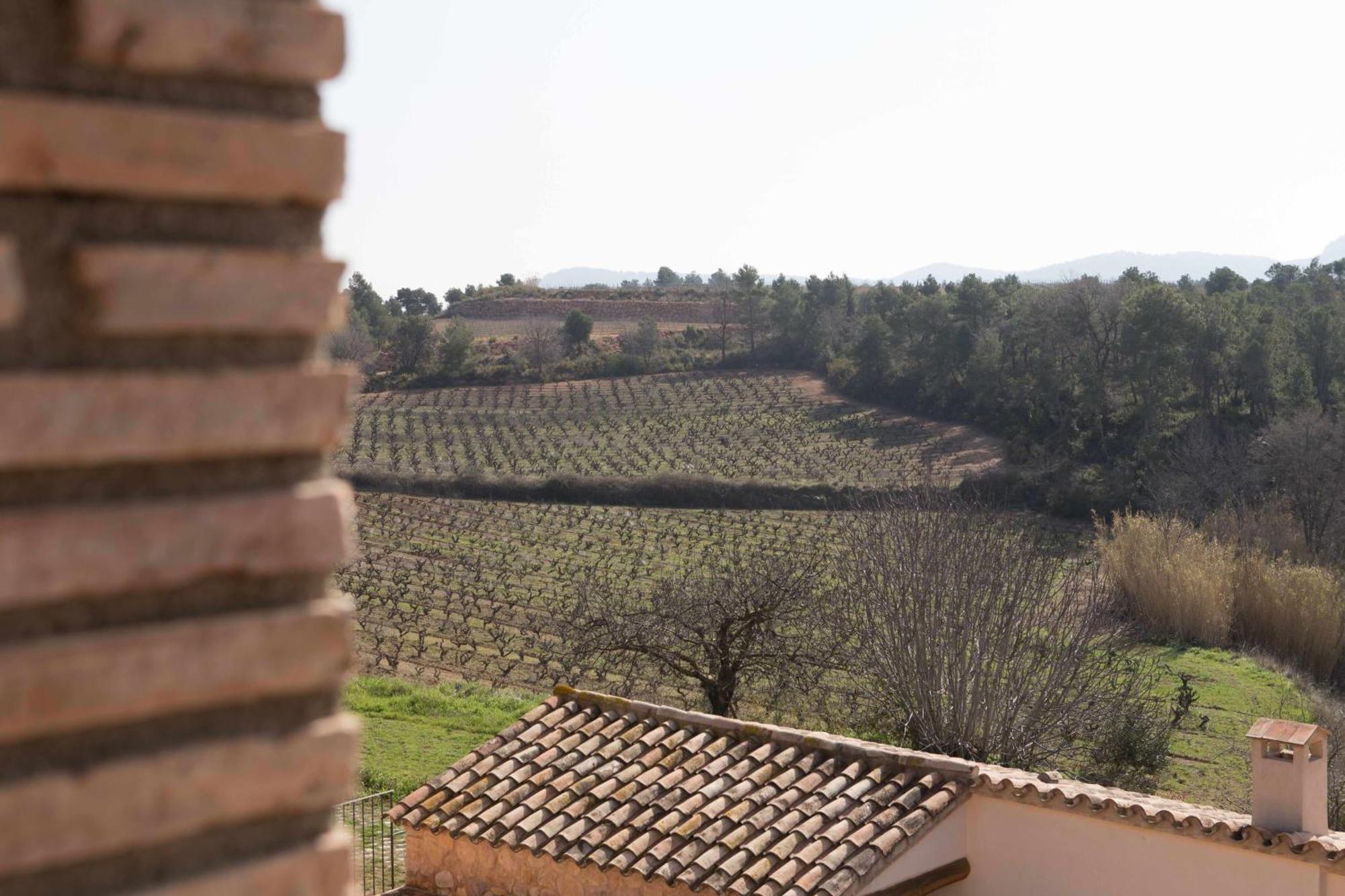 Casa Rural Masia Les Apieres El Pla de Manlleu Exterior photo